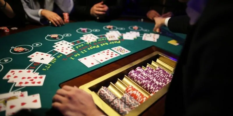 Platforms offering live casino streaming